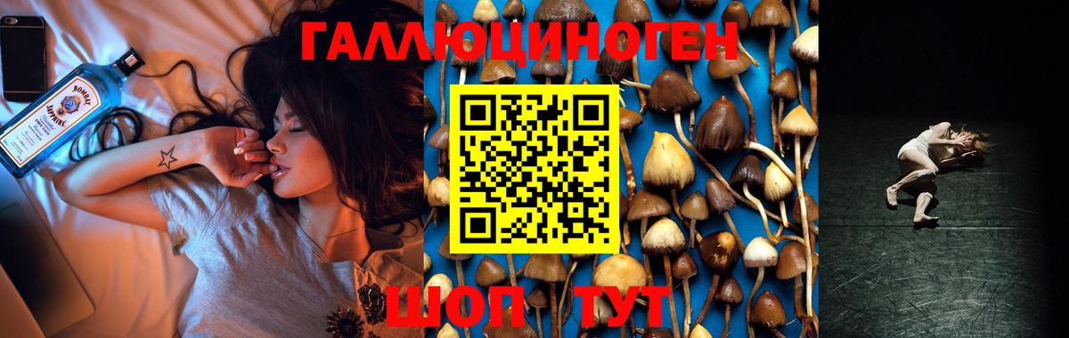 Галлюциногенные грибы Magic Shrooms Советская Гавань