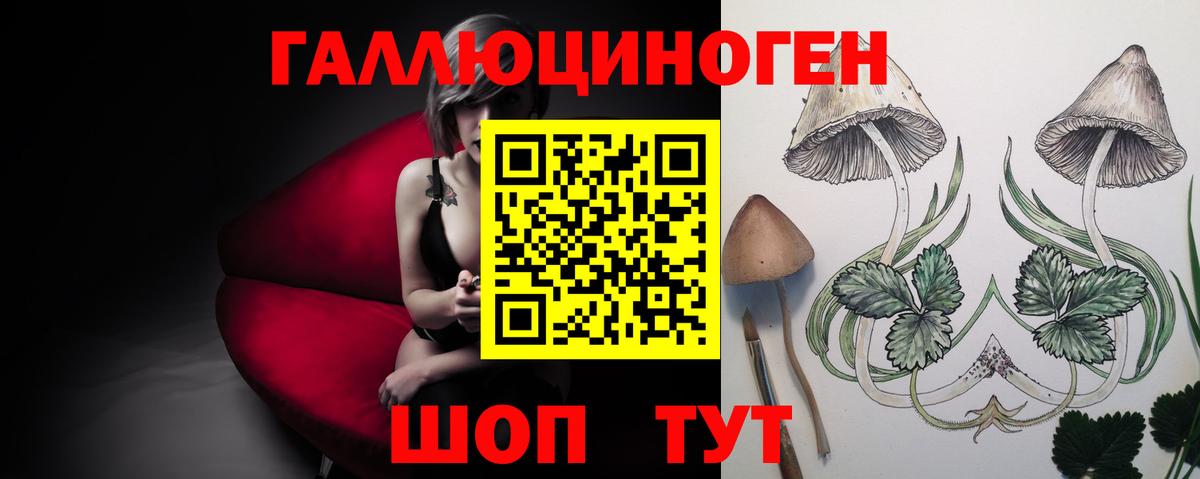 Советская Гавань  где купить   Вход с VPN  Галлюциногенные грибы Psilocybe 